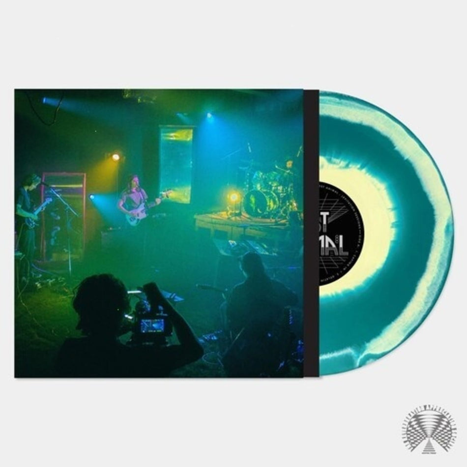 Post Animal - Levitation Sessions - (Colored Vinyl, Green, Yellow) - [Vinyl]