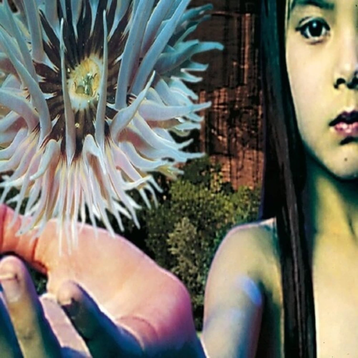 The Future Sound of London - Lifeforms - [Vinyl]