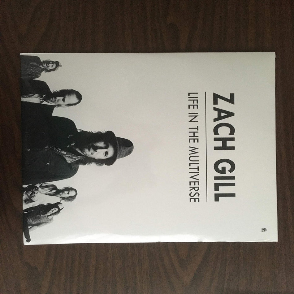 Zach Gill - Life In The Multiverse - [Vinyl]