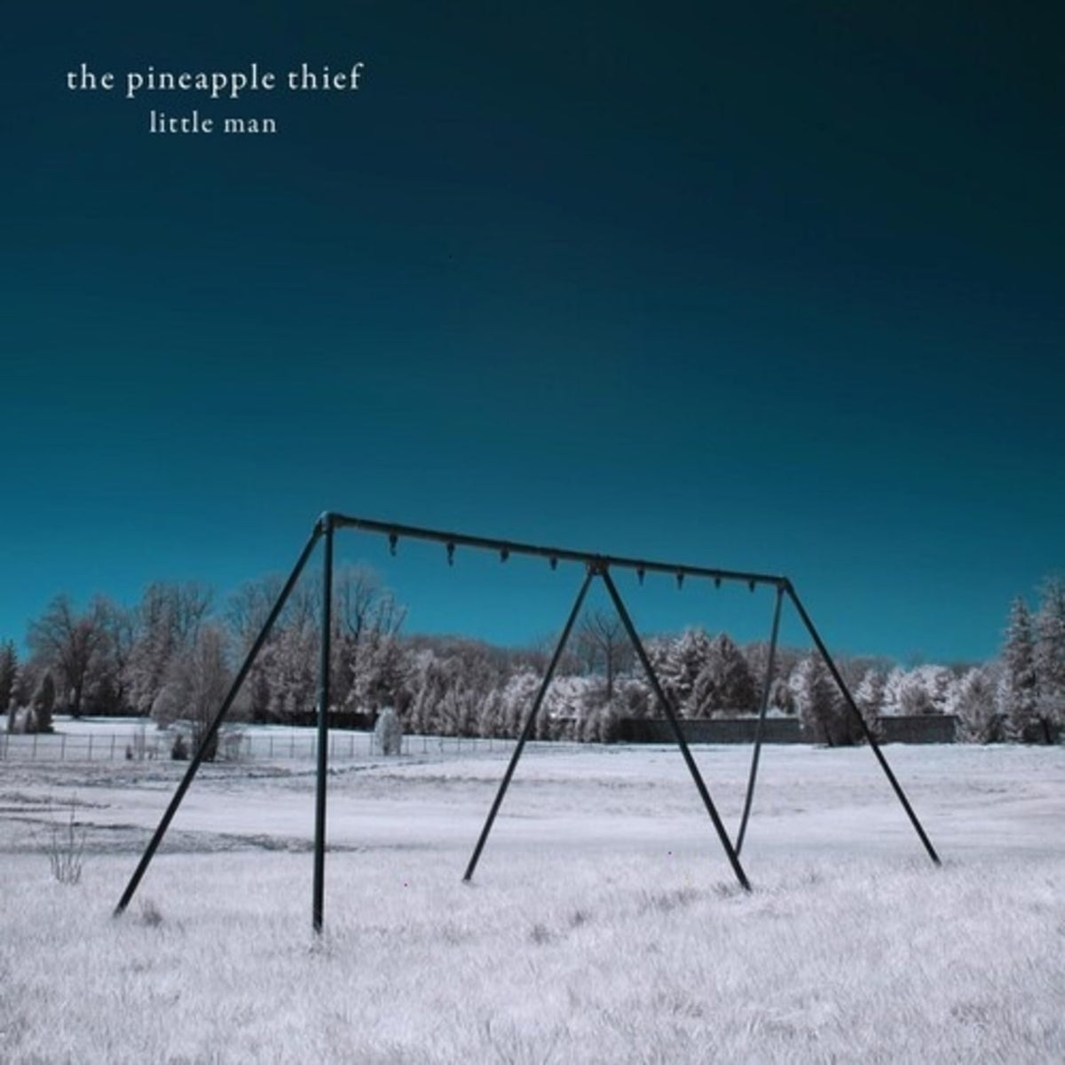 Pineapple Thief - Little Man - [Vinyl]