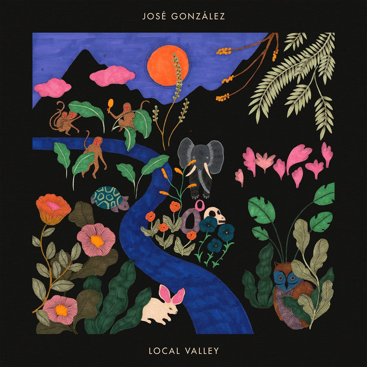 JosÃ© GonzÃ¡lez - Local Valley - [Vinyl]