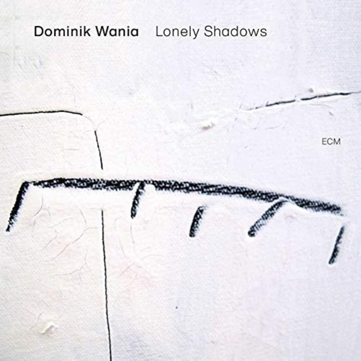 Dominik Wania - Lonely Shadows - [Vinyl]