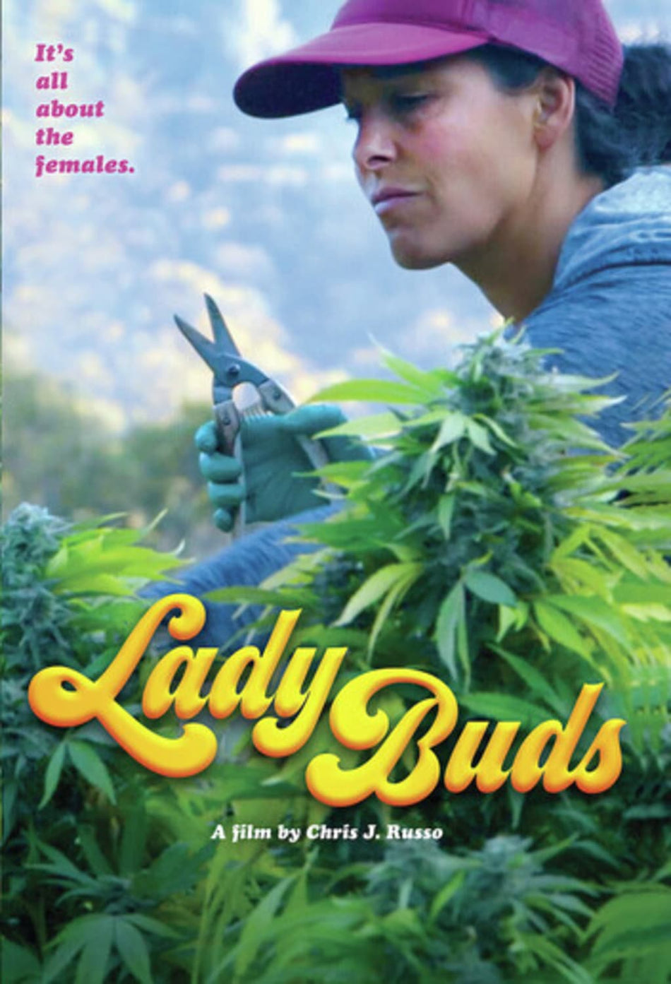 Lady Buds - (Dolby, AC-3) - [DVD]