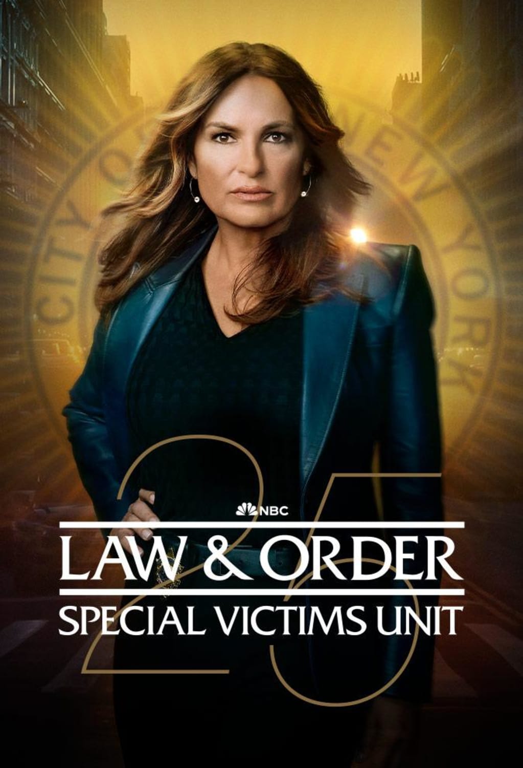 Law & Order: Special Victims Unit: Season Twenty-Four - (Dolby, AC-3) - [DVD]