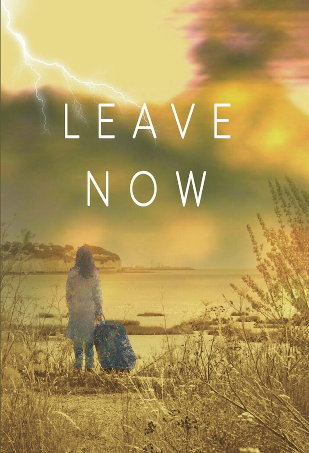 Leave Now - [DVD]