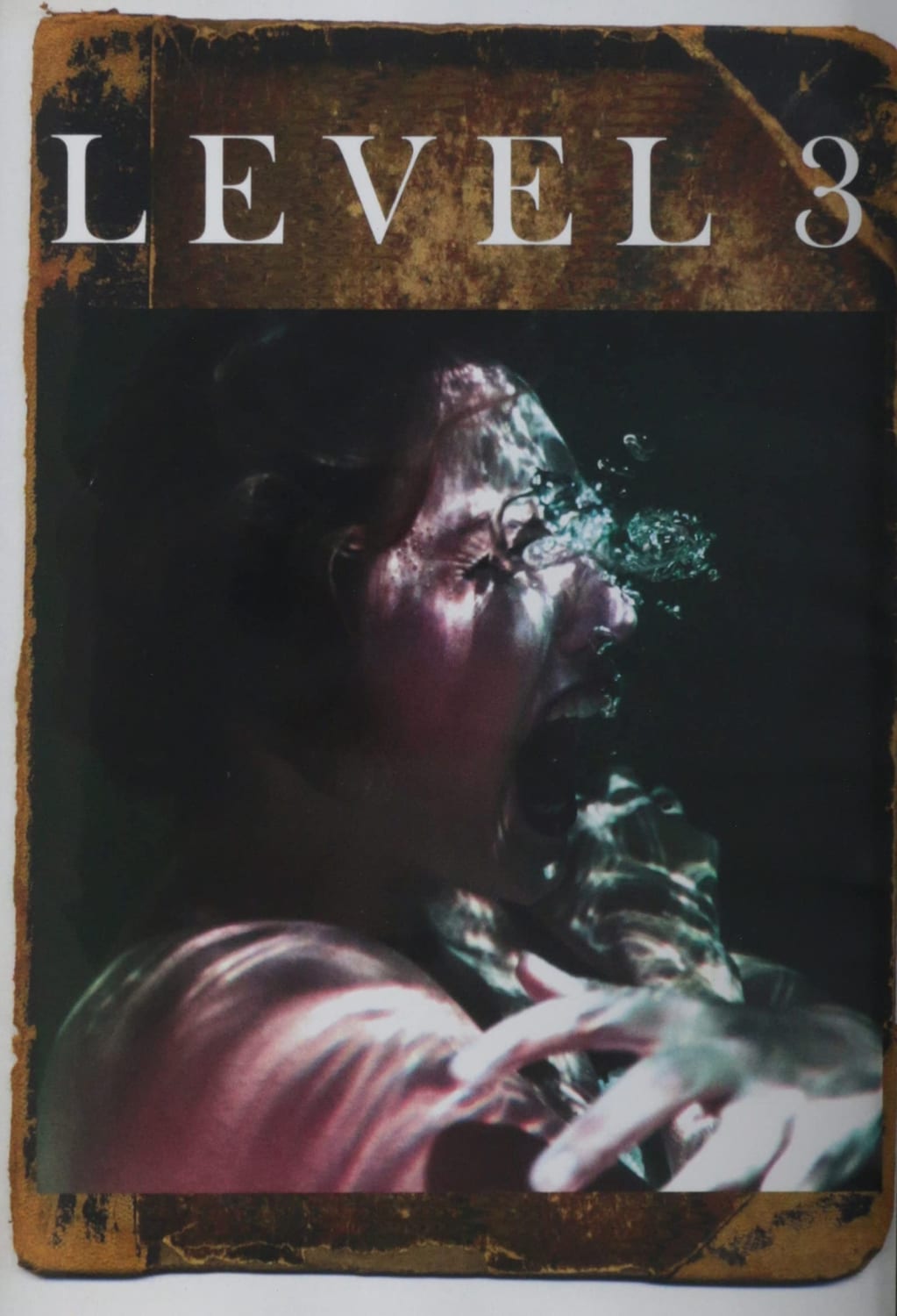 Level 3 - [DVD]