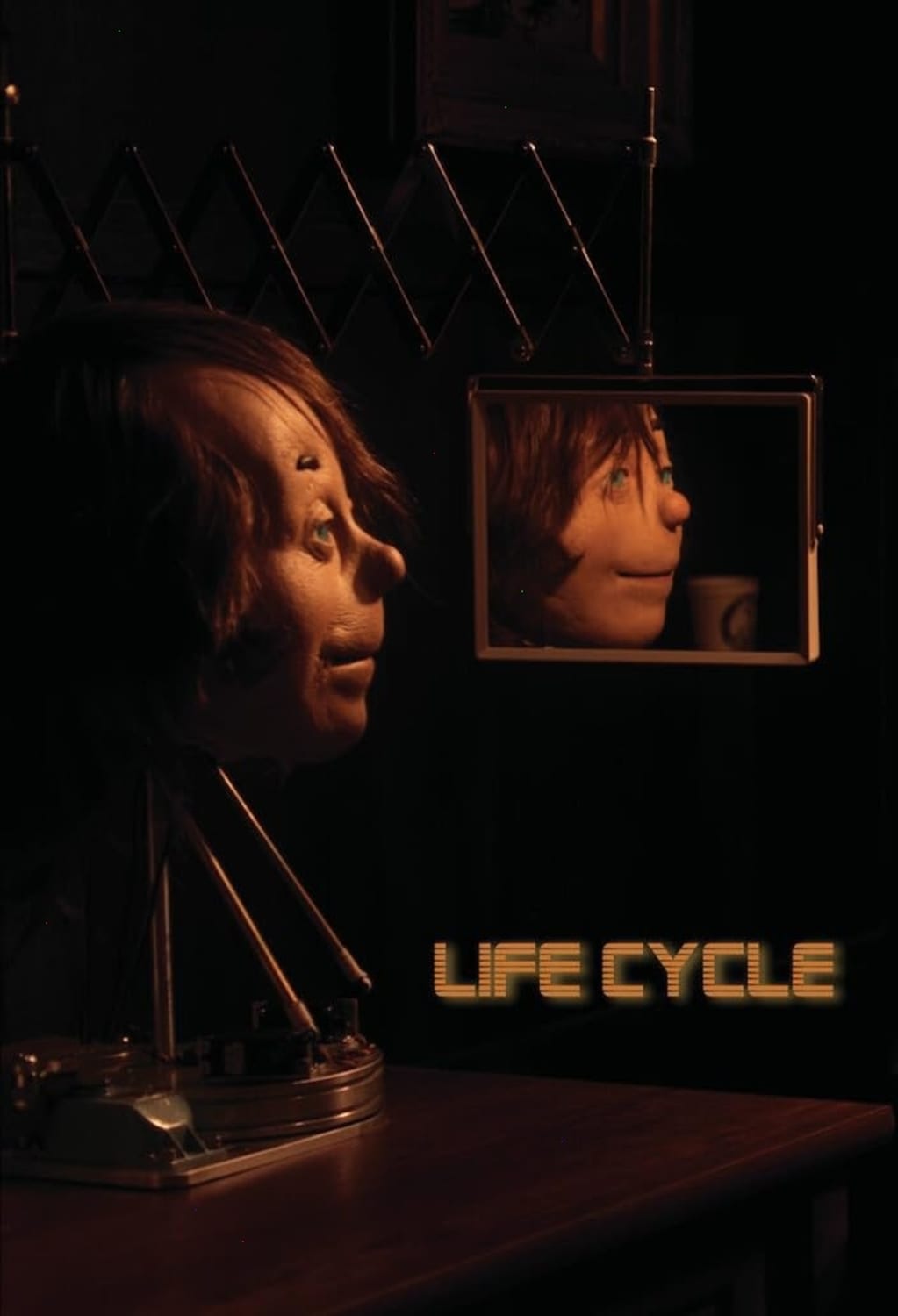 Life Cycle - (Dolby, AC-3) - [DVD]