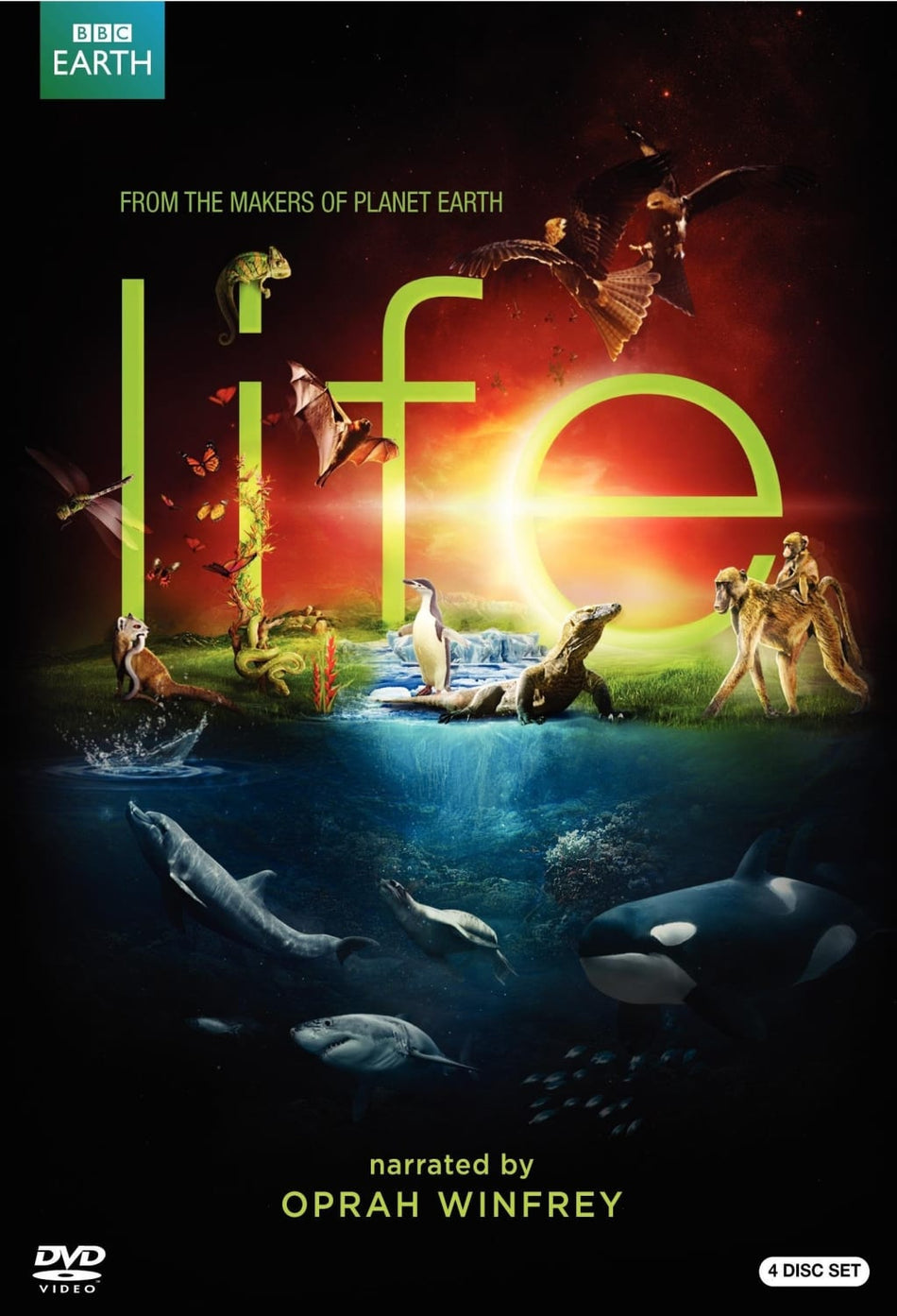 Life [Sous - titres franÃ§ais] - [DVD]
