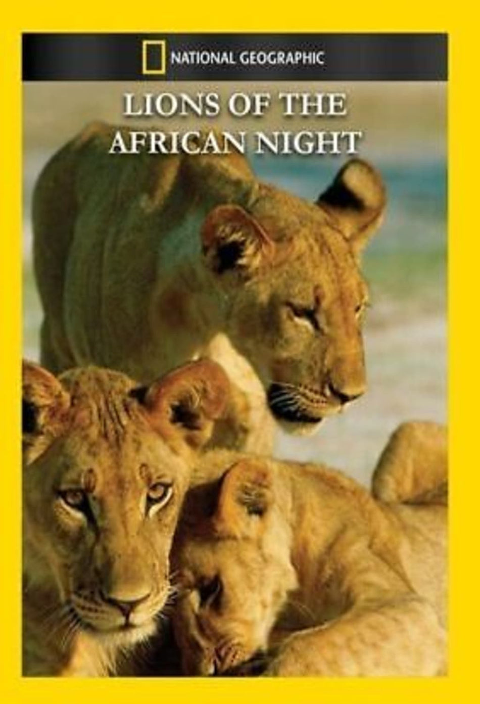 Lions of the African Night - (NTSC Format) - [DVD]