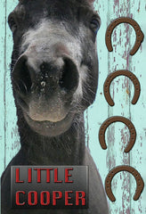 Little Cooper - (Subtitled) - [DVD]