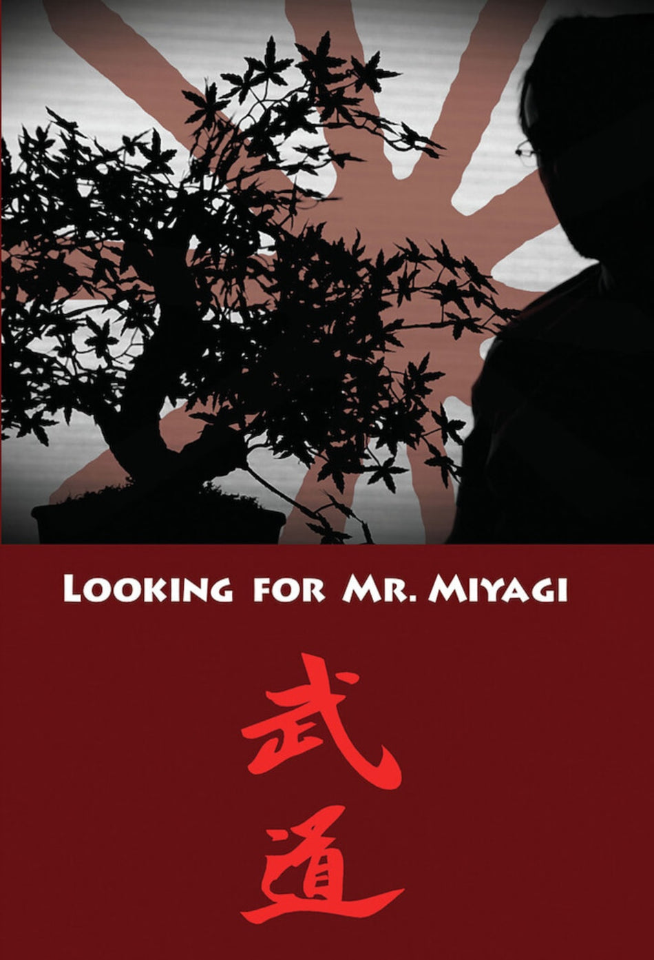 Looking For Mr. Miyagi - (Subtitled) - [DVD]