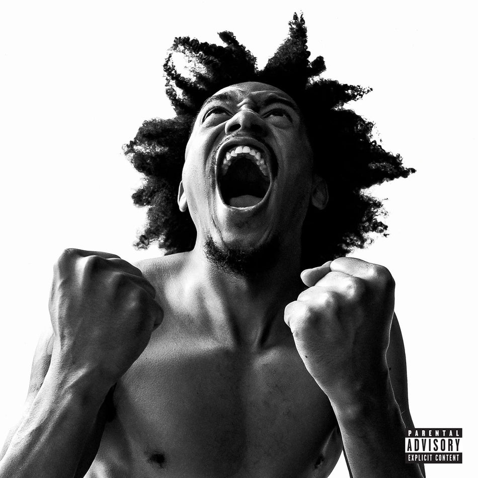 Bobby Sessions - Manifest - [Vinyl]
