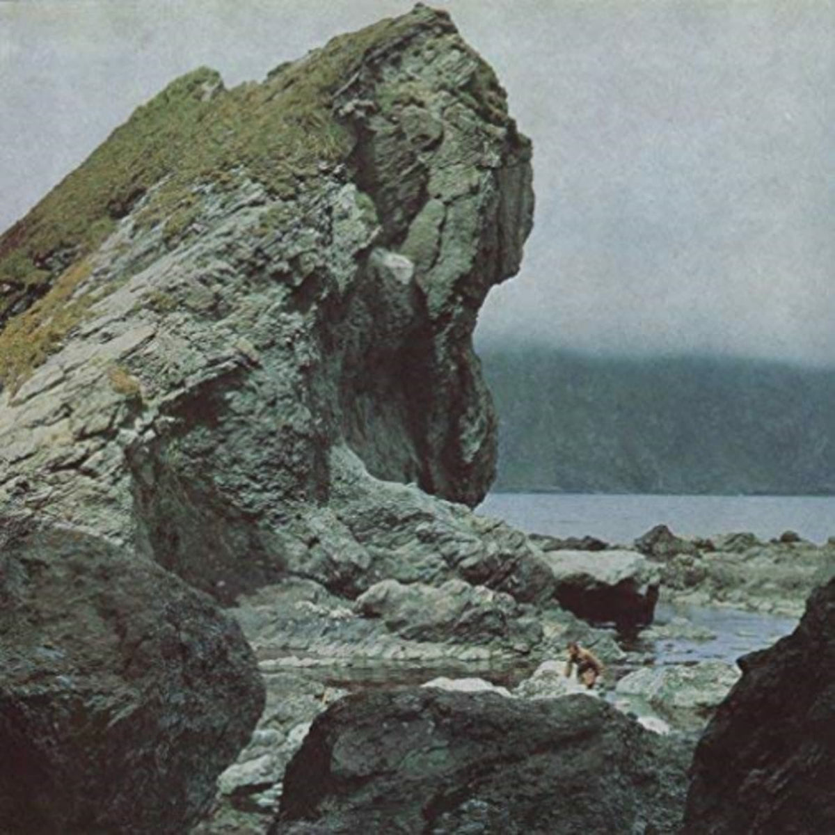 Motorama - Many Nights - [Vinyl]