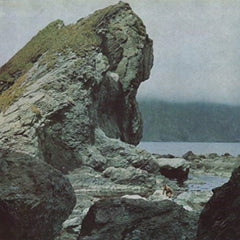 Motorama - Many Nights - [Vinyl]