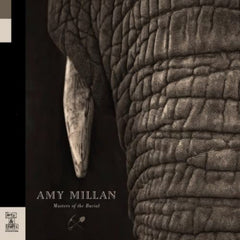 Amy Millan - Masters of the Burial - [Vinyl]