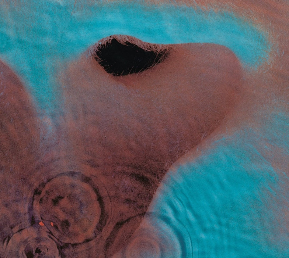 Pink Floyd - Meddle - [CD]