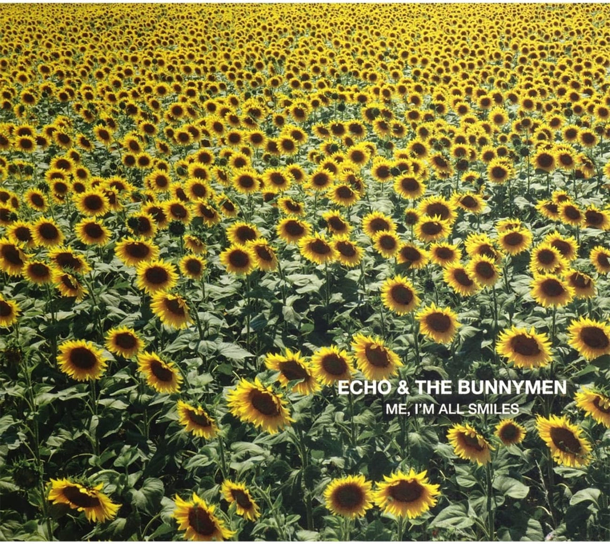 Echo & the Bunnymen - Me I'm All Smiles - [CD]