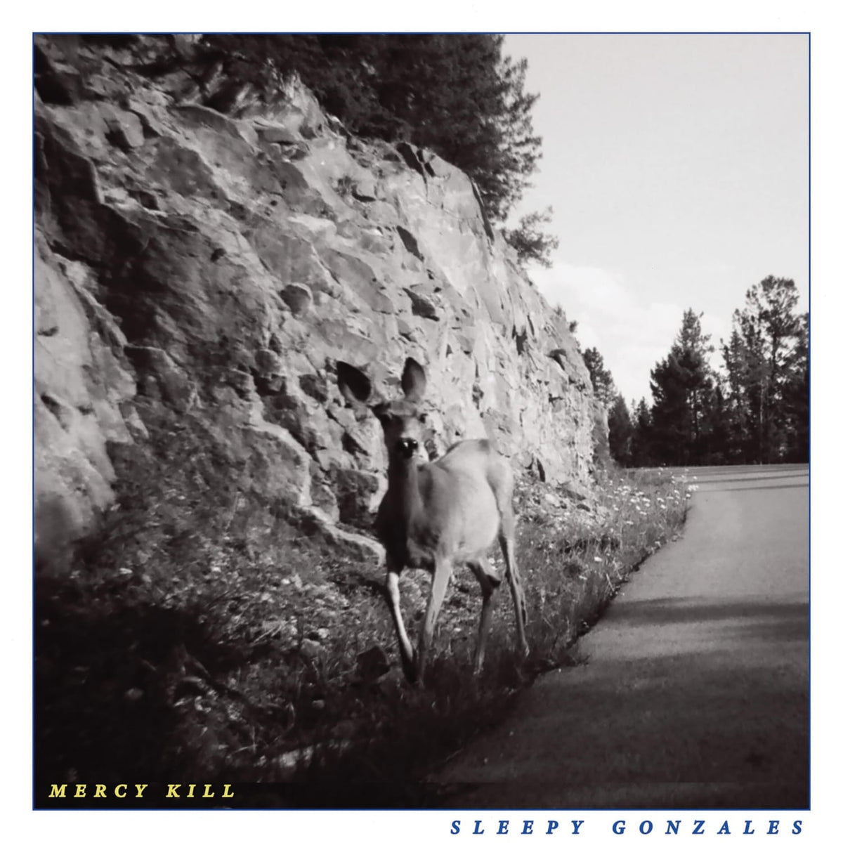 Sleepy Gonzales - Mercy Kill - [Vinyl]