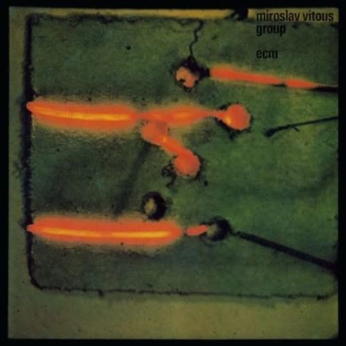 Miroslav Vitous - Miroslav Vitous Group - [Vinyl]