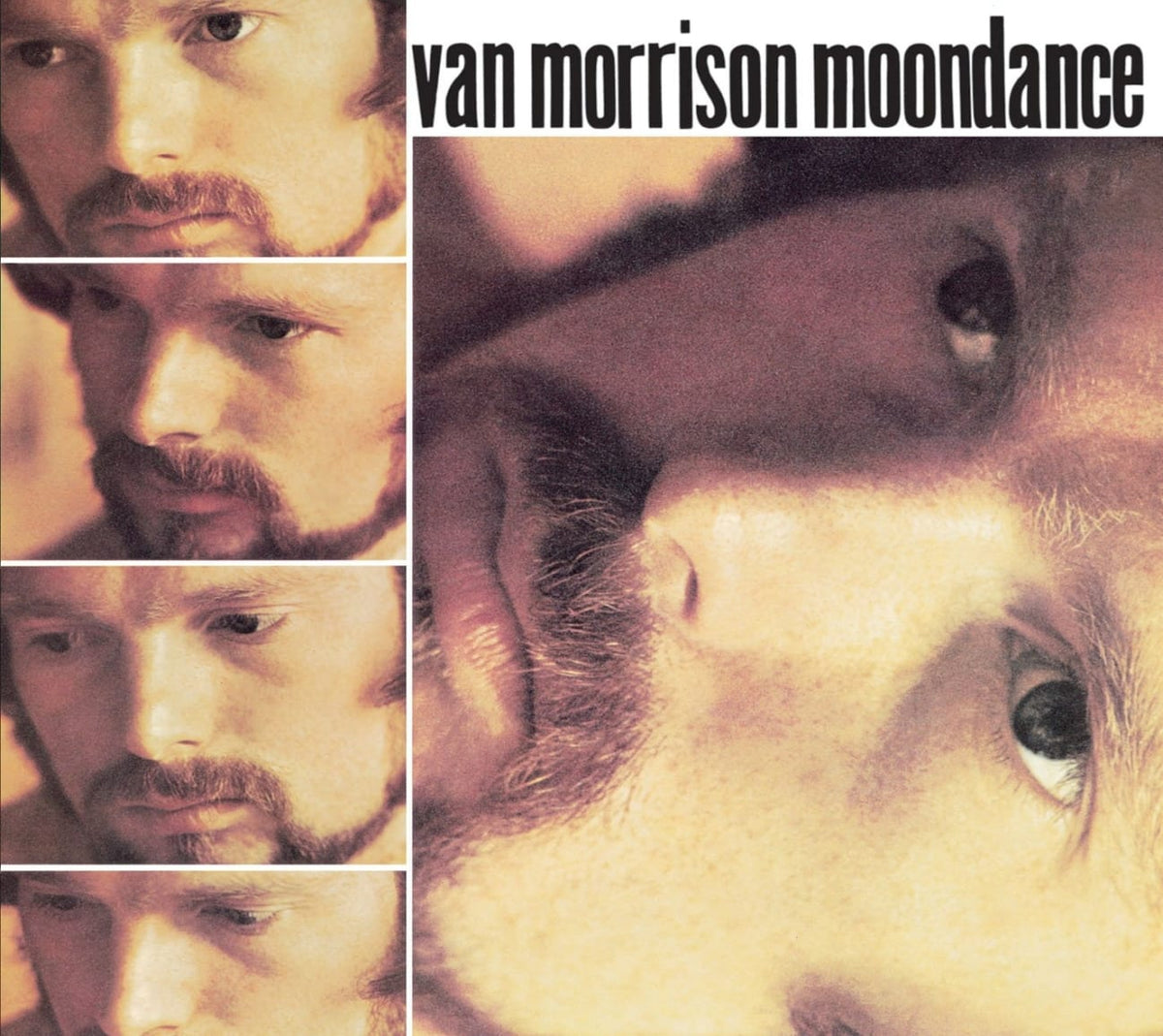 Van Morrison - Moondance - (Remastered) - [CD]