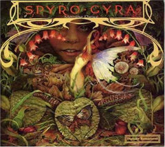 Spyro Gyra - Morning Dance - [CD]