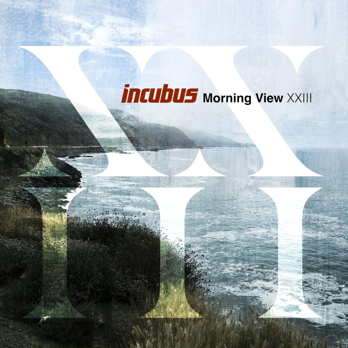 Incubus - Morning View XXIII - 180 Gram - [Vinyl]