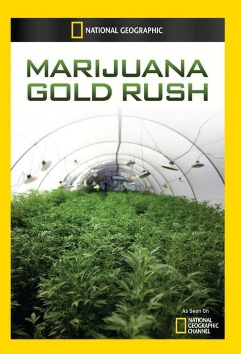 Marijuana Gold Rush - (NTSC Format) - [DVD]