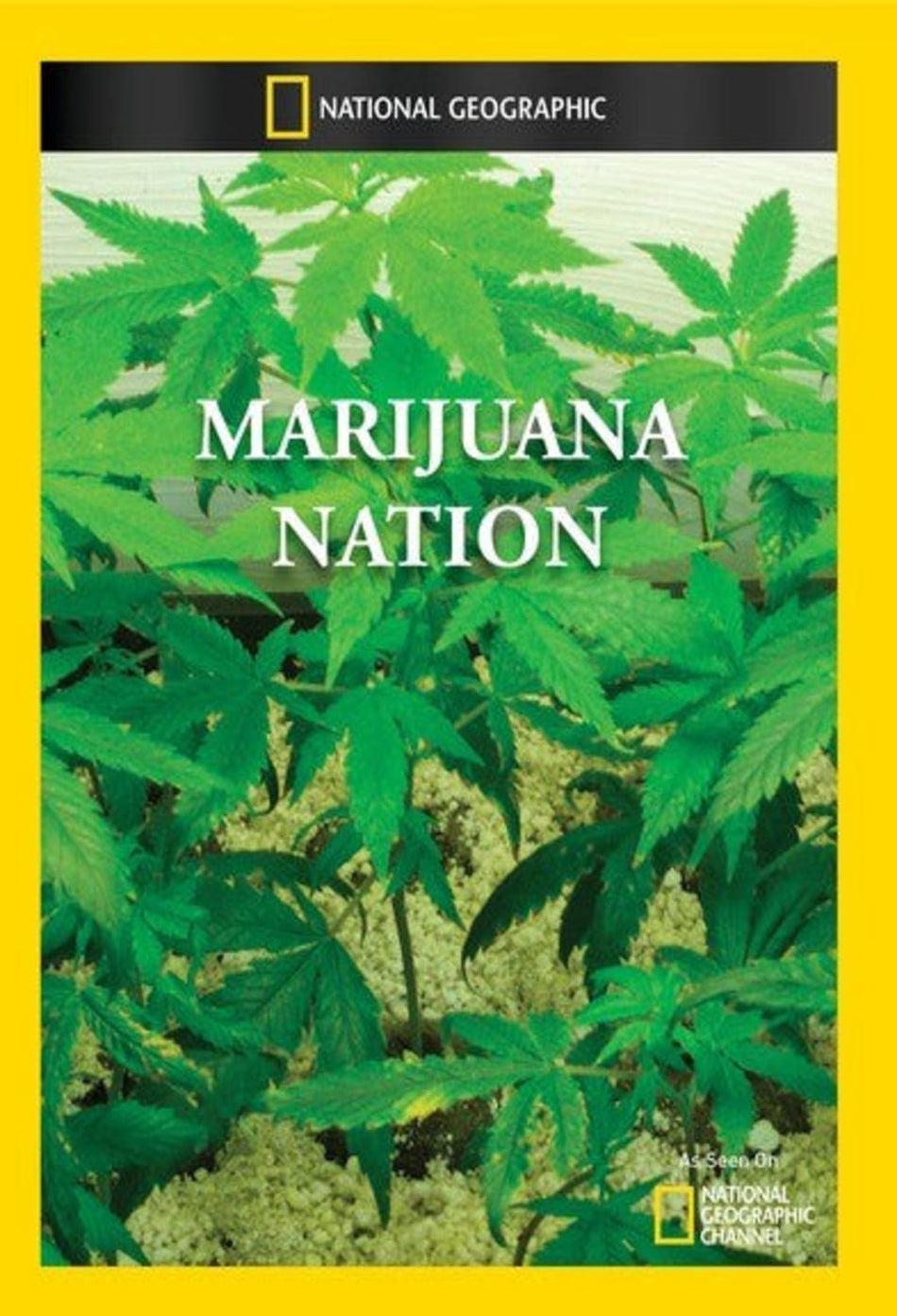 Marijuana Nation - (NTSC Format) - [DVD]