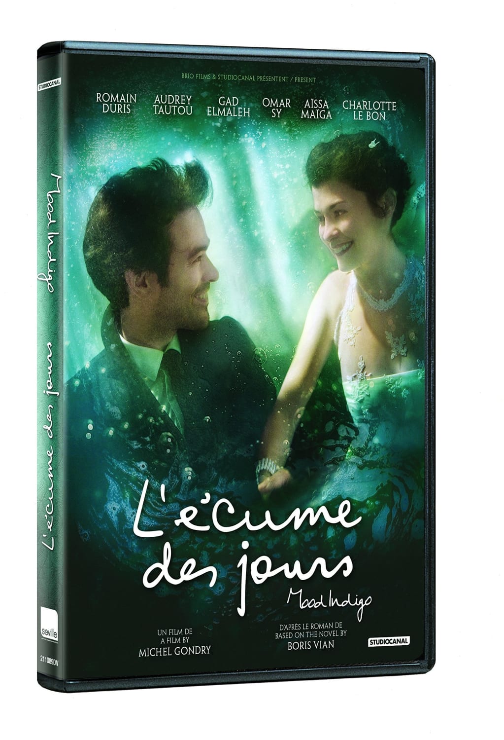 Mood Indigo / L'Ecume Des Jours - [DVD]