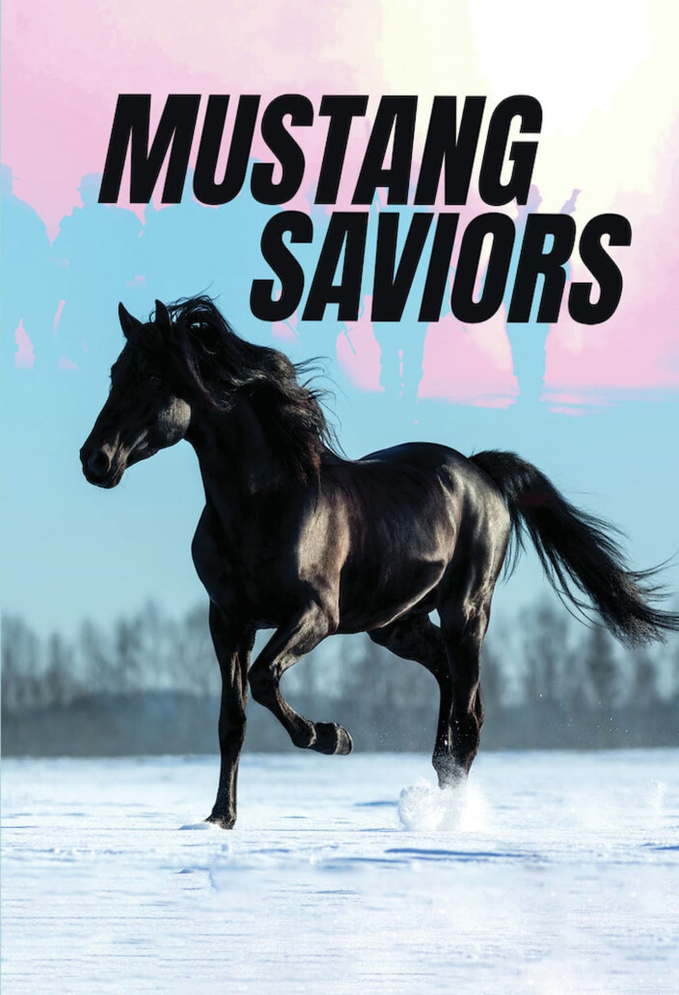 Mustang Saviors - [DVD]