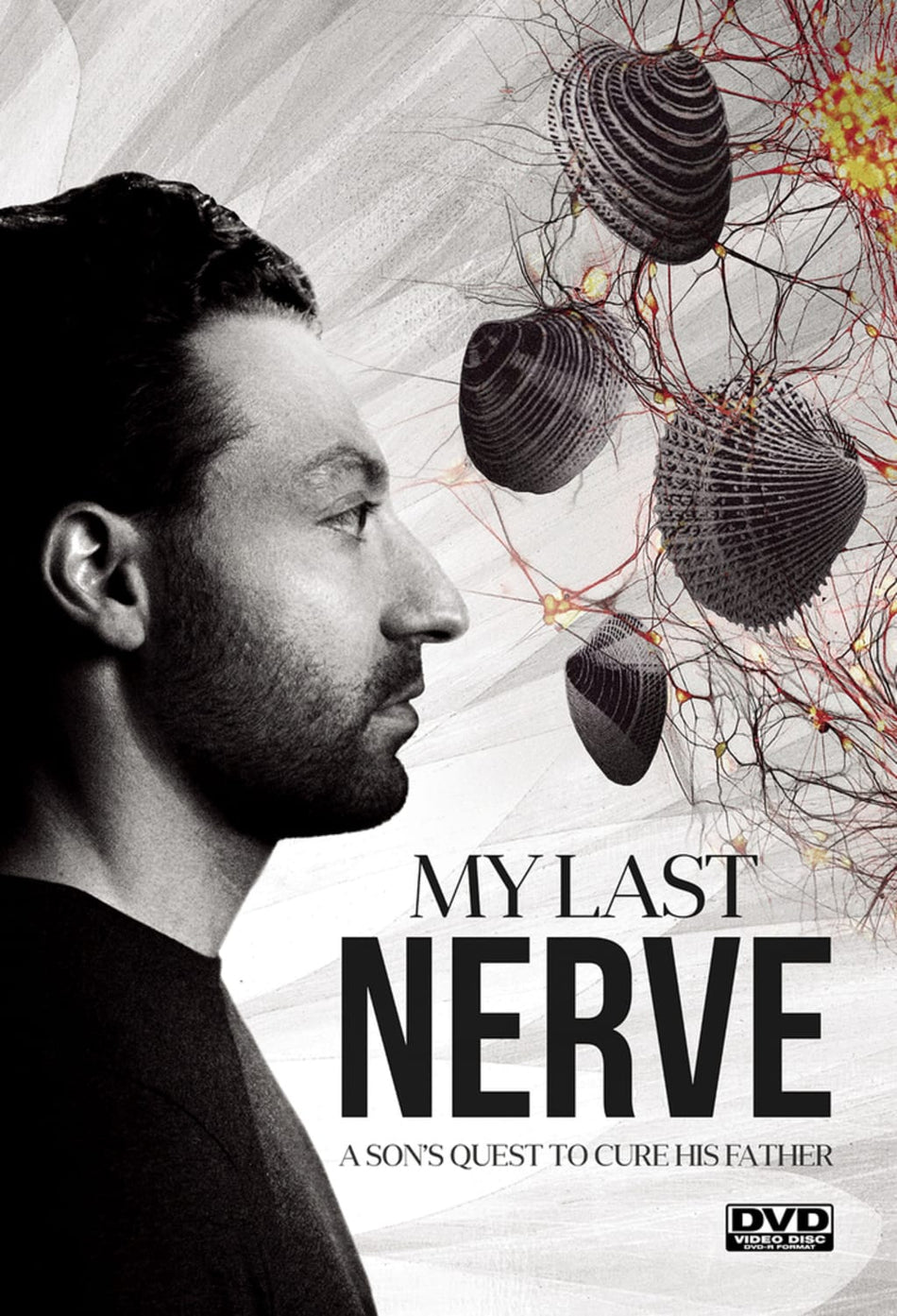 My Last Nerve - (Dolby, AC-3) - [DVD]