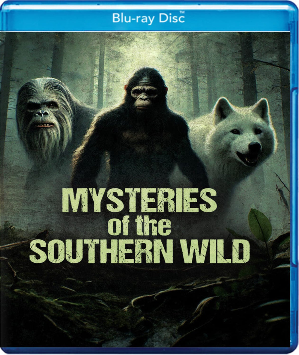 Mysteries of the Southern Wild - [Blu-ray]