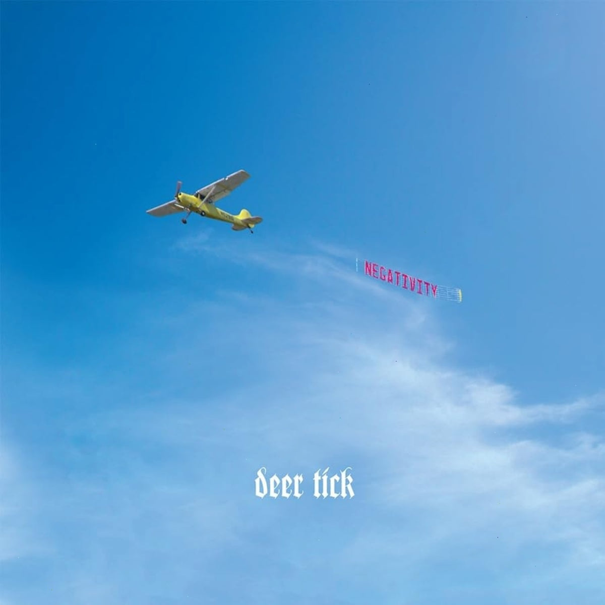 Deer Tick - Negativity - [Vinyl]