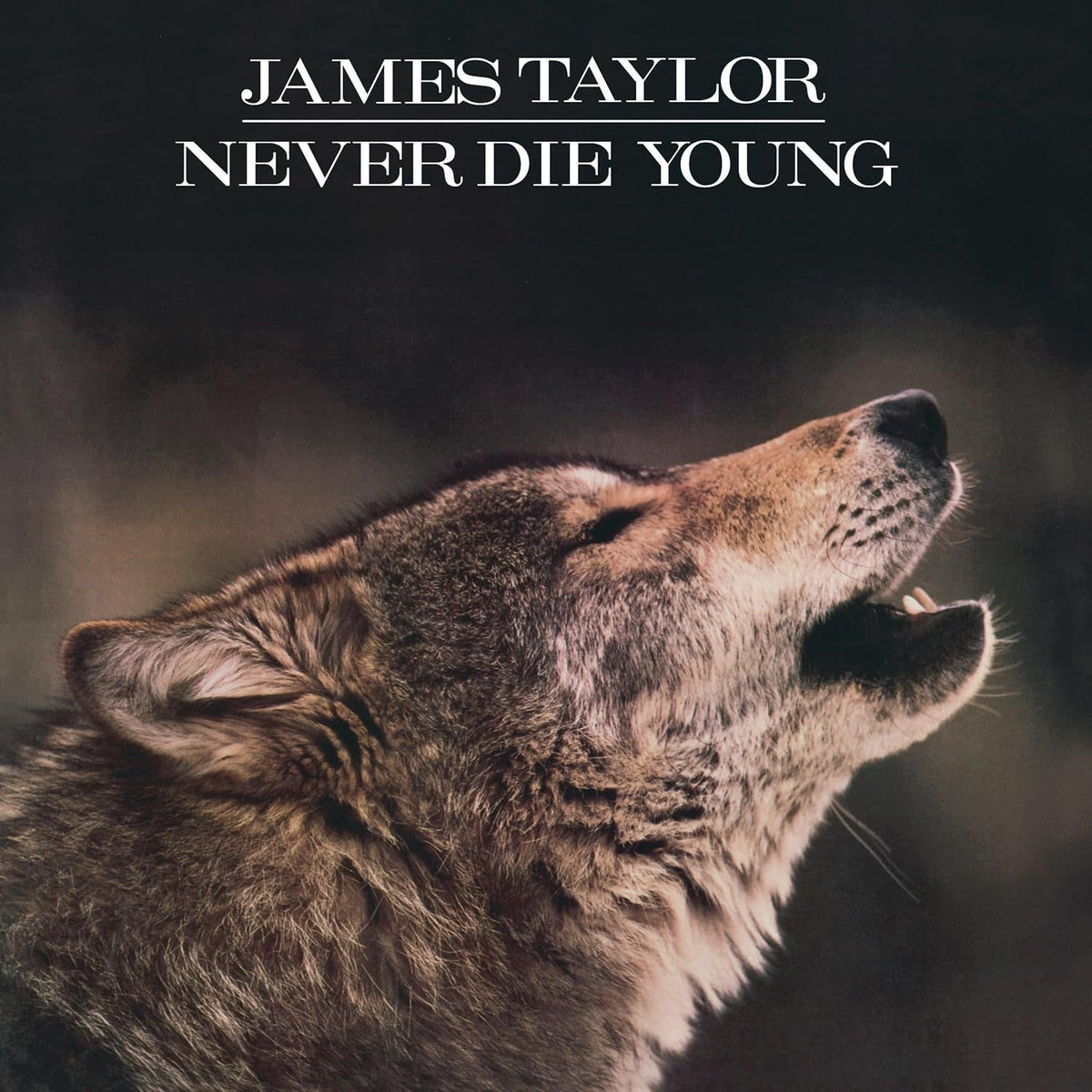 James Taylor - Never Die Young - Limited 180-Gram White & Black Marble Colored - [Vinyl]