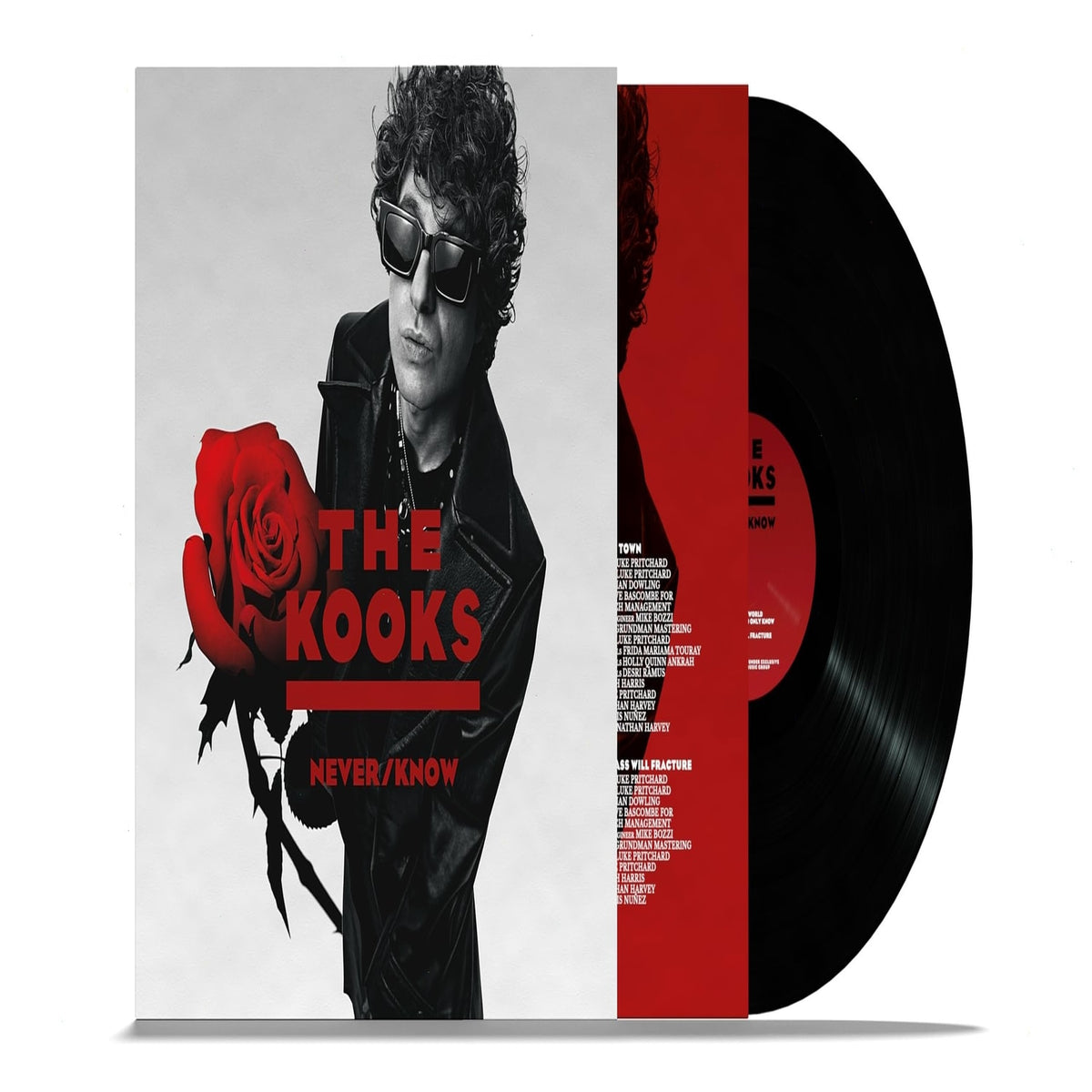The Kooks - Never/ know - [Vinyl]