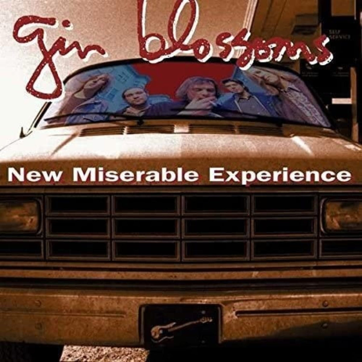 Gin Blossoms - New Miserable Experience - [Vinyl]
