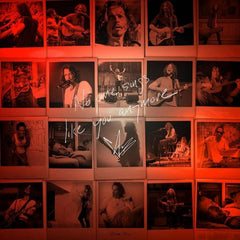 Chris Cornell - No One Sings Like You Anymore - [Vinyl]