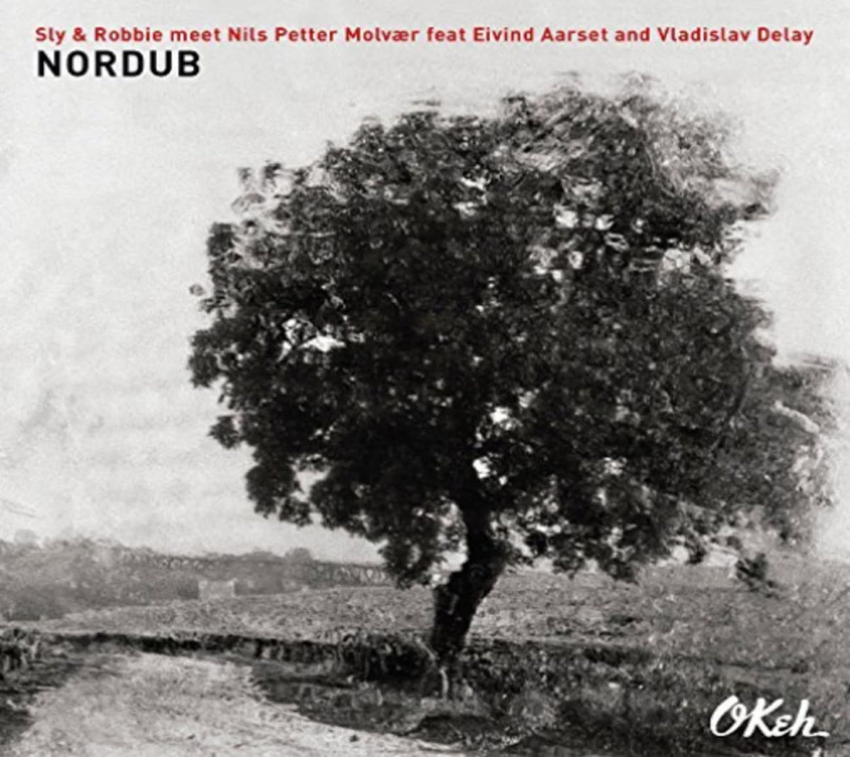 SLY & ROBBIE / NILS PETTER MOLVAER / EIVIND AARSET - Nordub - [CD]
