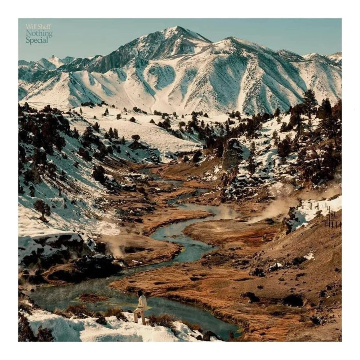 Will Sheff - Nothing Special - (Indie Exclusive, Colored Vinyl, Blue) - [Vinyl]