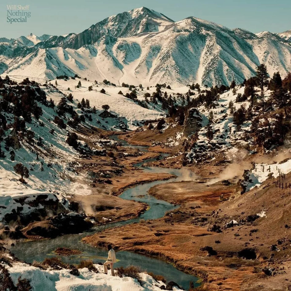 Will Sheff - Nothing Special - (Ecopak - Biodegradable PKG) - [Vinyl]