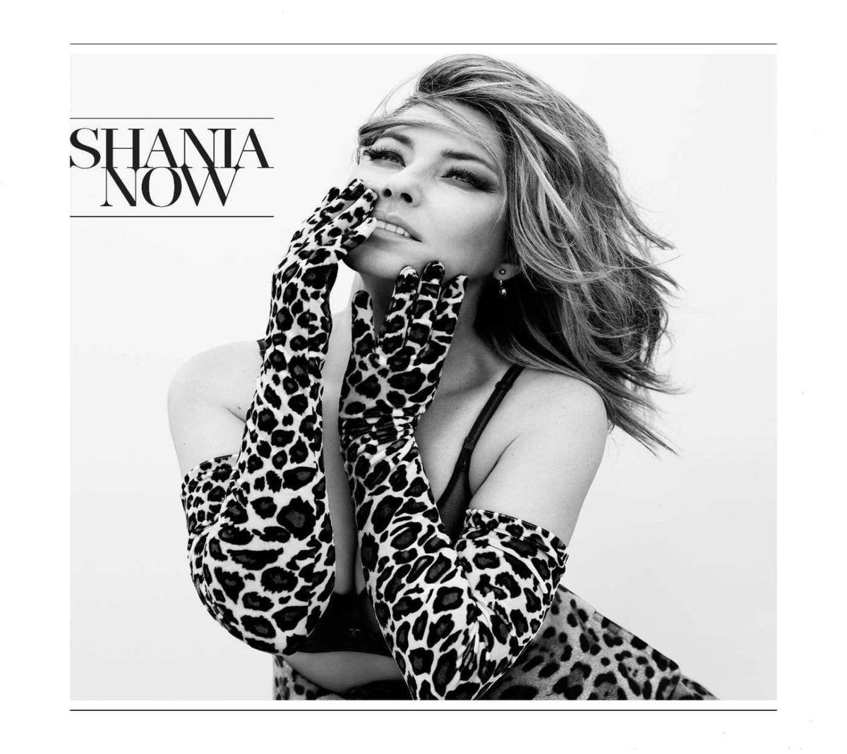 Shania Twain - Now - [CD]