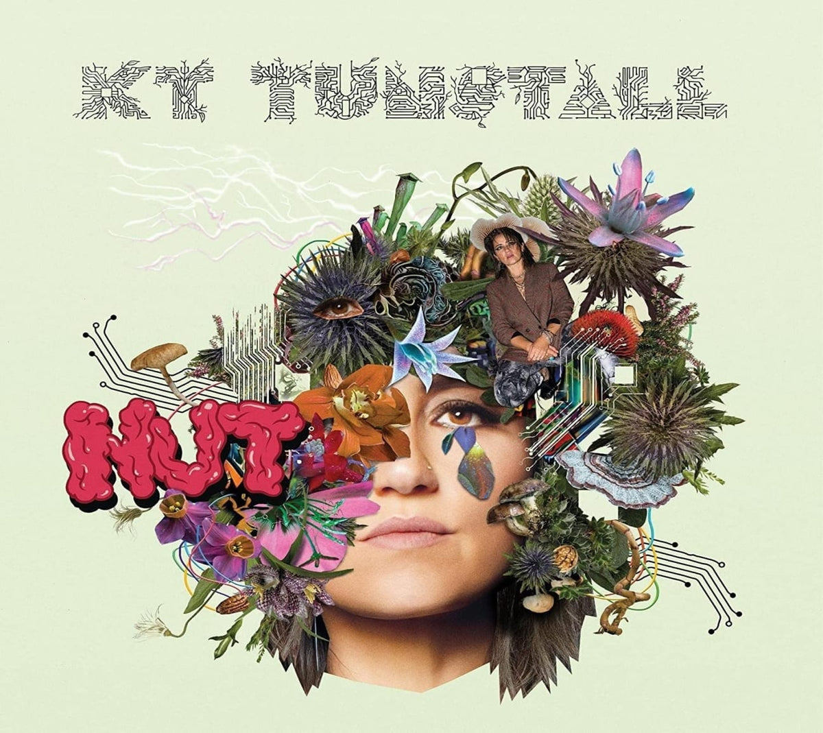 KT Tunstall - Nut - [CD]