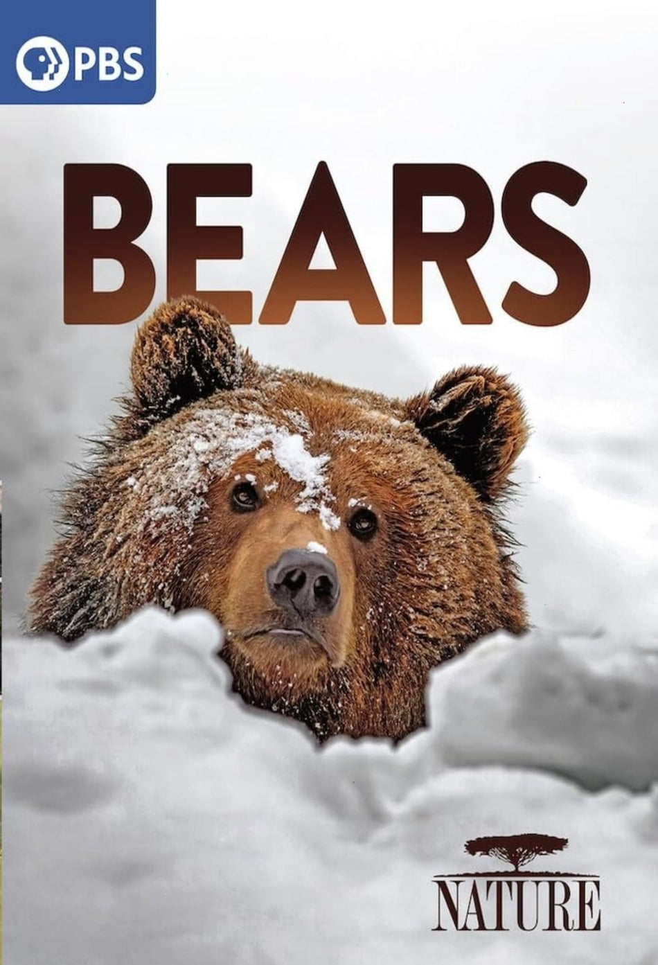 Nature: Bears - [DVD]