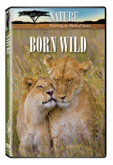 Nature: Born Wild - [DVD]