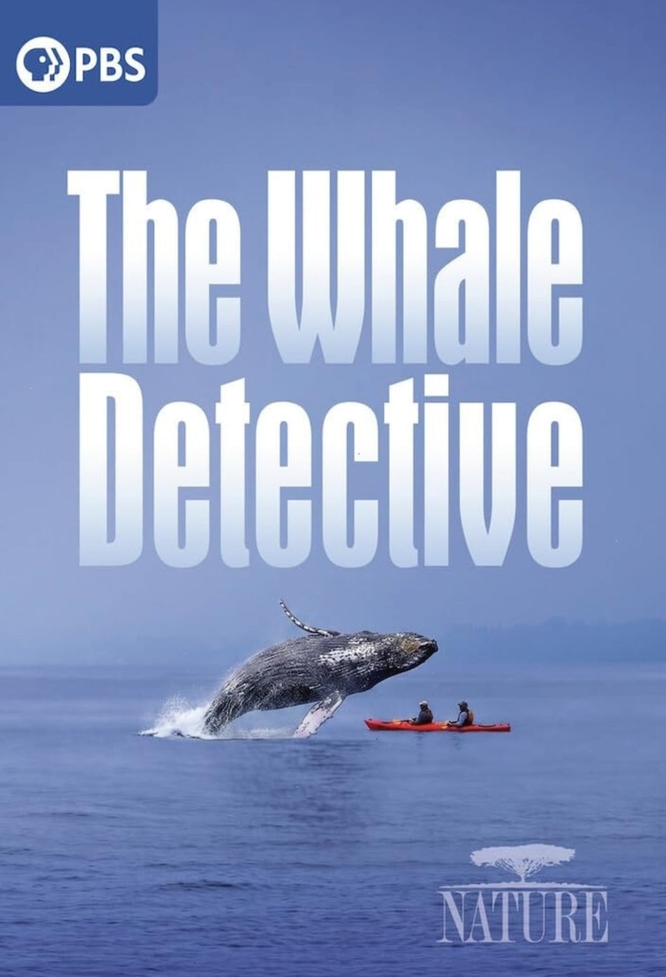 Nature: The Whale Detective - [DVD]