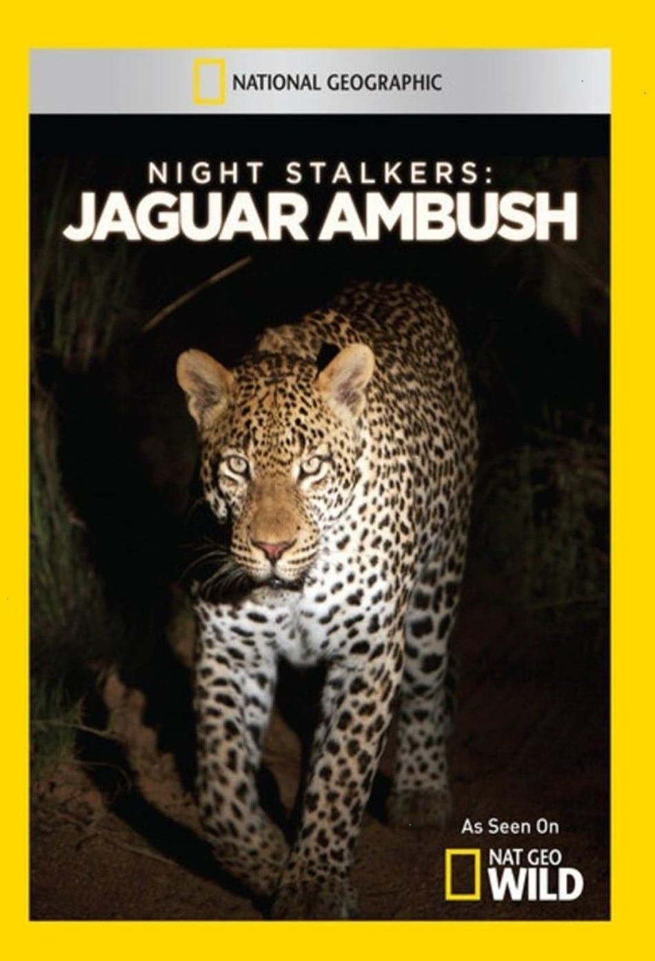 Night Stalkers: Jaguar Ambush - [DVD]