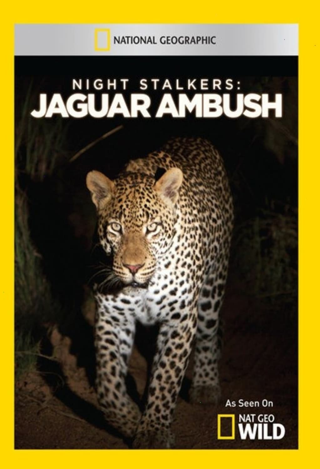Night Stalkers: Jaguar Ambush - [DVD]