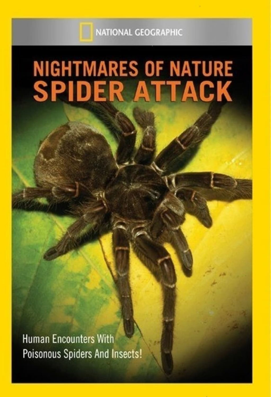 Nightmares of Nature: Spider Attack - (NTSC Format) - [DVD]