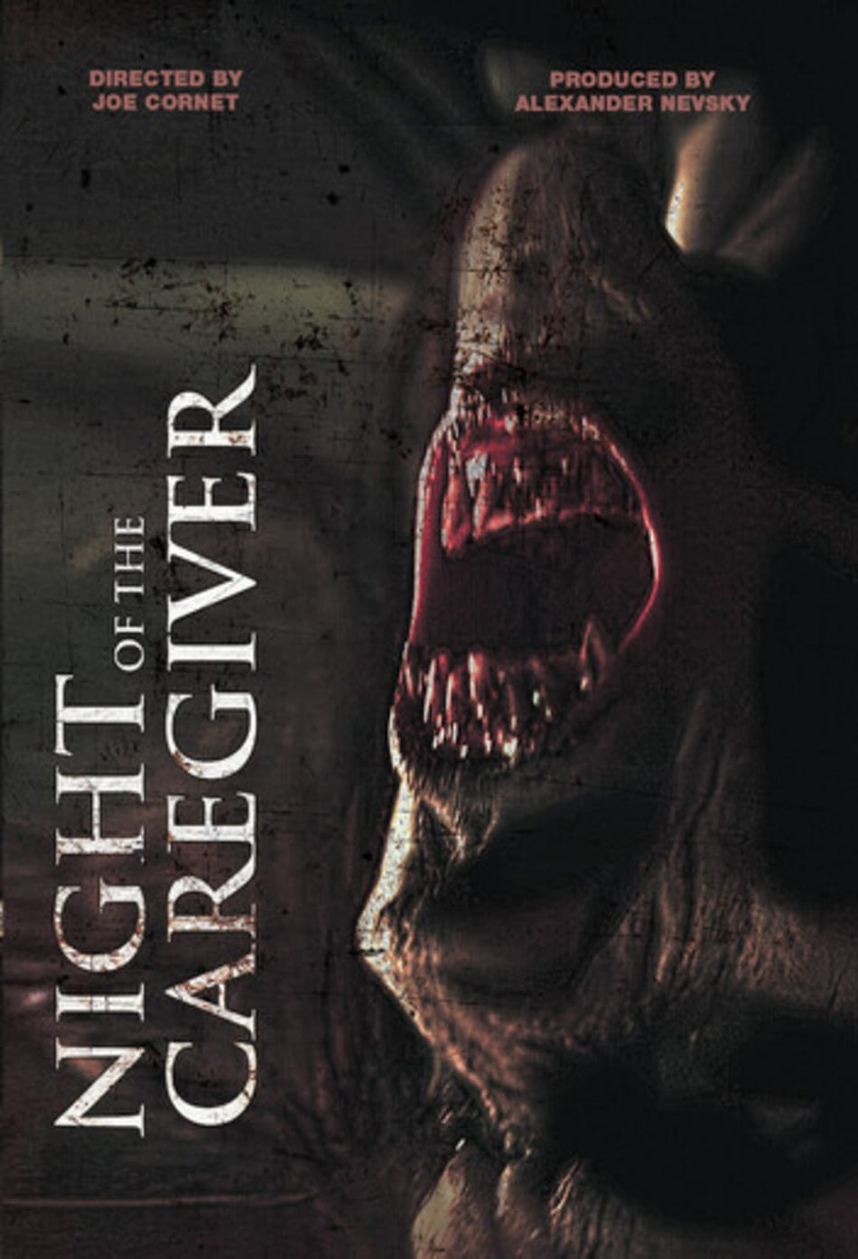 Night Of The Caregiver - (Dolby, AC-3) - [DVD]