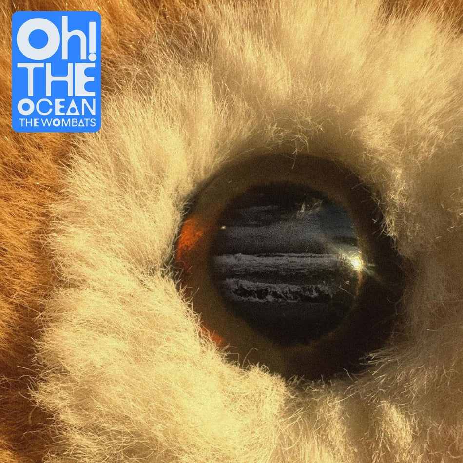 The Wombats - Oh The Ocean (Transparent Blue ) - (Colored , Blue) - [Vinyl]